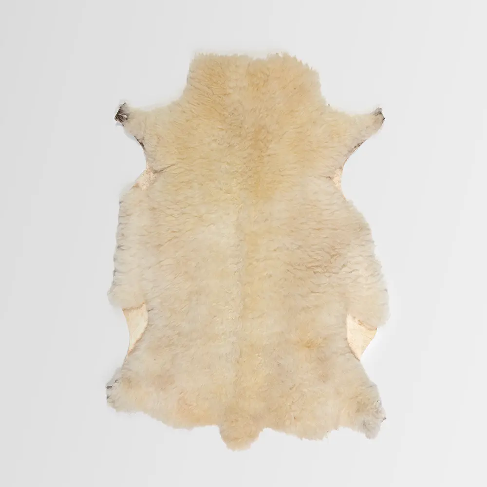 Kulit Domba Bukan Limbah, Tapi Peluang. Ini Dia Manfaat Kulit Domba