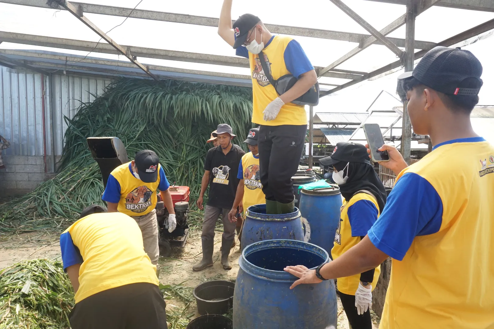 Kunci Kebutuhan Pakan Domba untuk Pertumbuhan dan Produktivitas Optimal